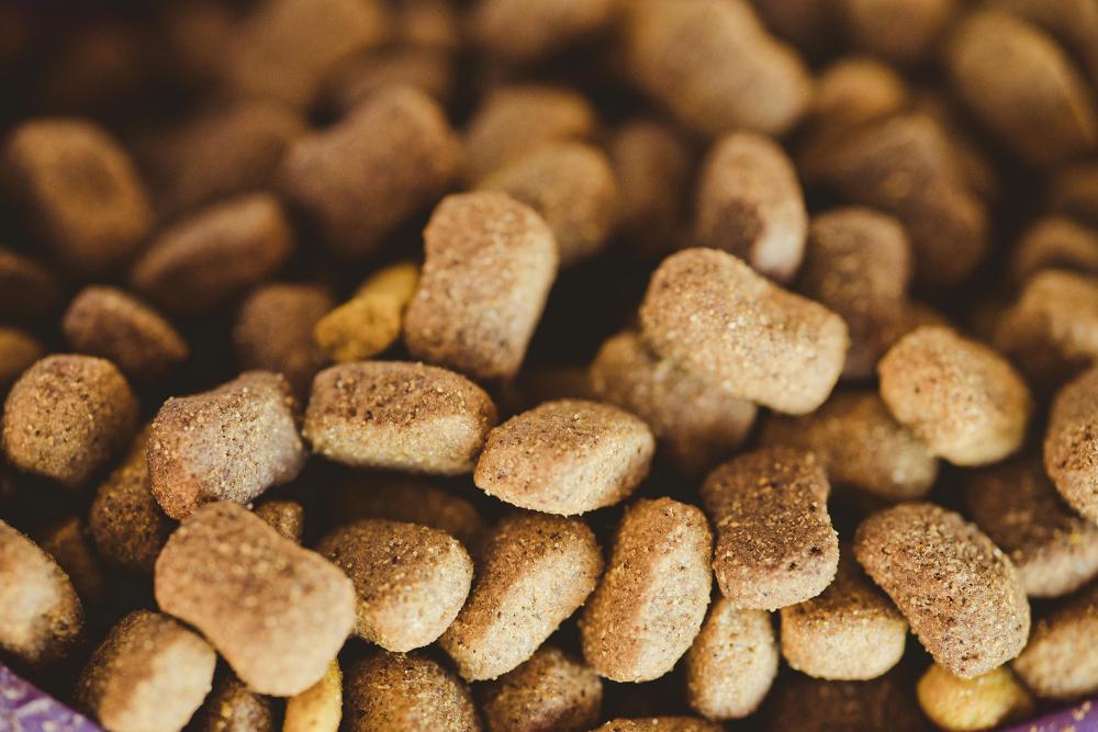 agrario, pet food e zootecnico